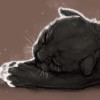 [Leopon] Glow Step!